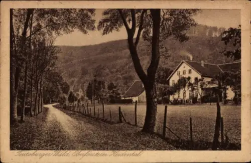 Ak Hiddesen Detmold im Teutoburger Wald, Heidental