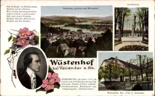 Ak Vallendar am Rhein, Restaurant Wüstenhof, Goethestein