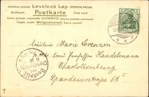 Litho Hund, Tierportrait