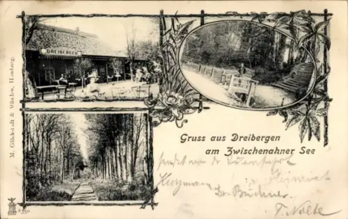 Ak Dreibergen Bad Zwischenahn in Oldenburg, Restaurant Dreibergen, Allee, Zwischenahner See