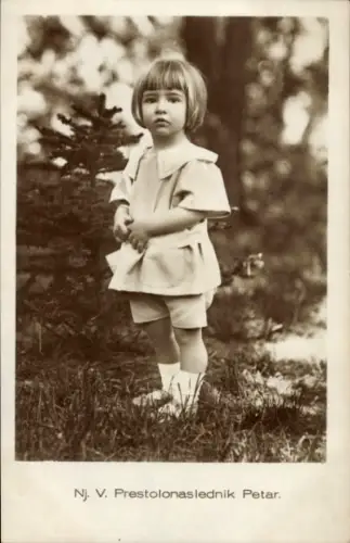 Ak Prestolonaslednik Petar, Petar Karađorđević