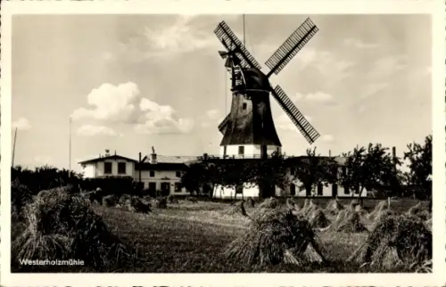 Ak Westerholz in Angeln, Westerholzmühle, Das schöne Angeln