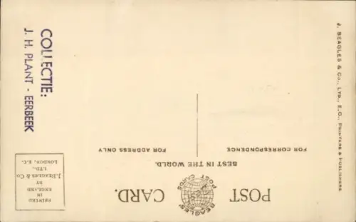 Ak Königin Maud von Norwegen mit Prinz Olav