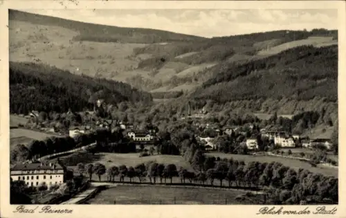 Ak Duszniki Zdrój Bad Reinerz Schlesien, Blick von der Stadt