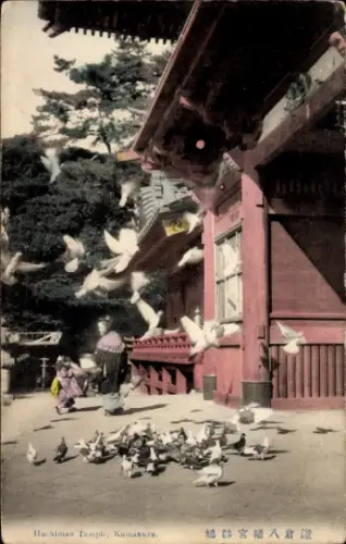 Ak Kamakura Präfektur Kanagawa Japan, Hachiman Tempel, Tauben, Menschen, bunte Kleidung