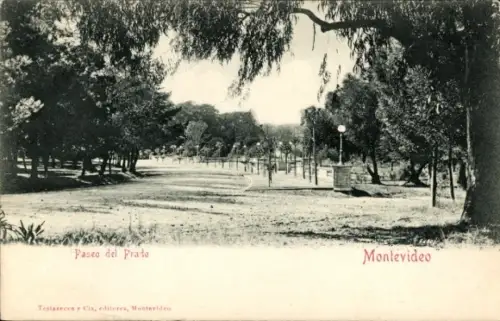 Ak Montevideo Uruguay, Paseo del Prado, Parklandschaft, Bäume, Weg, Montevideo