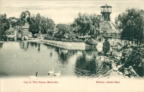 Ak Villa Dolores Montevideo Uruguay, Lago de Villa Dolores,  Enten, Pflanzen, Wasser