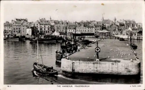 Ak Fraserburgh Aberdeenshire Schottland, Hafen, Stadt