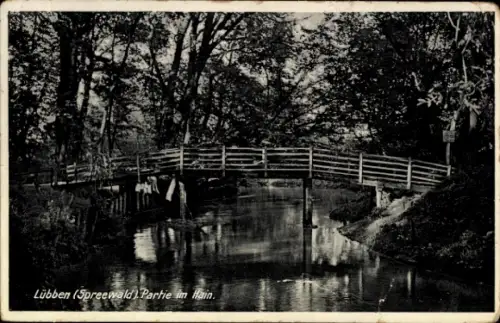 Ak Lübben im Spreewald, Brücke über Wasser, Bäume, Text 'Lübben (Spreewald) Partie im Hain.'