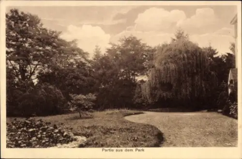Ak Solingen im Bergischen Land, Parklandschaft, Bäume, Weg, keine Personen
