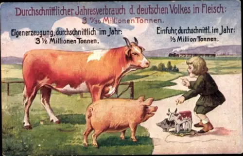 Künstler Ak Jahresverbrauch Fleisch, Eigenerzeugung, Einfuhr, Zoll und Grenzschutz, Rind, Schwein