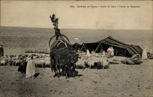 Ak Nordafrika, Zelt, Bassour, geschmücktes Kamel, Schafherde