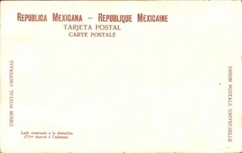 Ak México, Cargador, Lastenträger