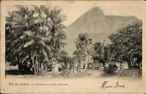 Ak Rio de Janeiro Brasilien, Corcovado, Botanischer Garten, Palmen, Landschaft