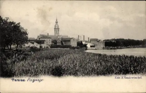 Ak Tamise Temse Temsche Ostflandern, Landschaftsaufnahme, Fluss, Gebäude, Bäume, keine Personen