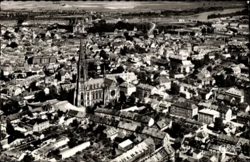 Ak Speyer am Rhein, Luftaufnahme von  Dom, Stadtansicht, Rhein im Hintergrund