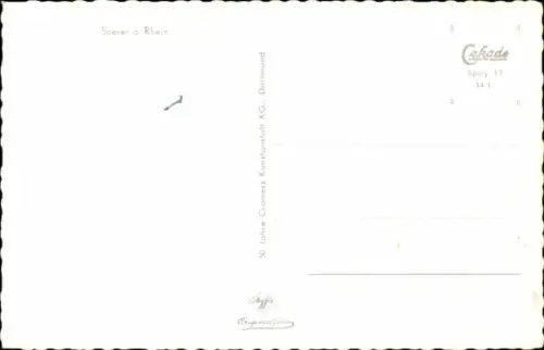 Ak Speyer am Rhein, Luftaufnahme von  Dom, Stadtansicht, Rhein im Hintergrund