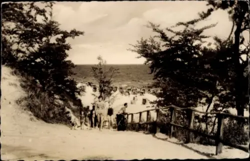 Ak Ostseebad Ueckeritz Ückeritz auf Usedom, Strandweg, Bäume, Meer, Menschen, Ueckeritz