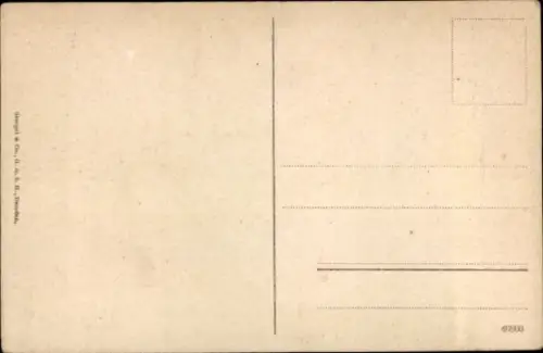 Ak Saarbrücken im Saarland,  Kriegerdenkmäler, Spicherer Höhen, Bäume, Weg