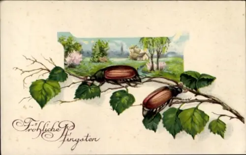 Passepartout Ak Glückwunsch, Pfingsten, Maikäfer
