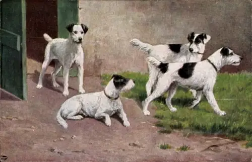 Künstler Ak Vier schwarz weiße Hunde mit Halsbändern, grüne Tür