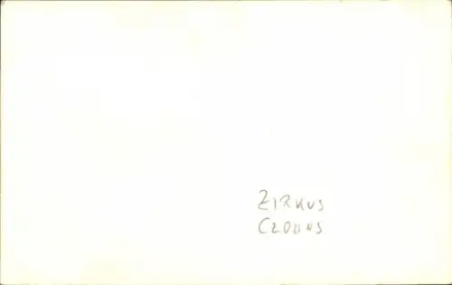 Foto Ak Zirkusvorstellung, Clowns, Zuschauer