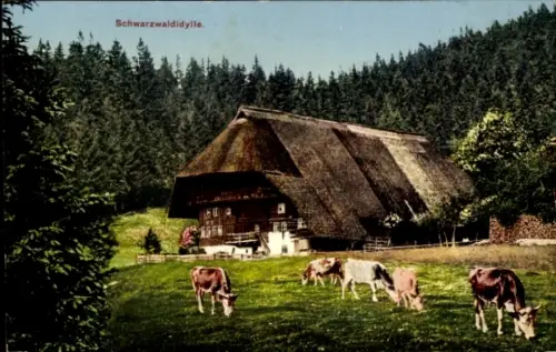 Ak Schwarzwaldidylle, Schwarzwaldhaus, weidende Kühe