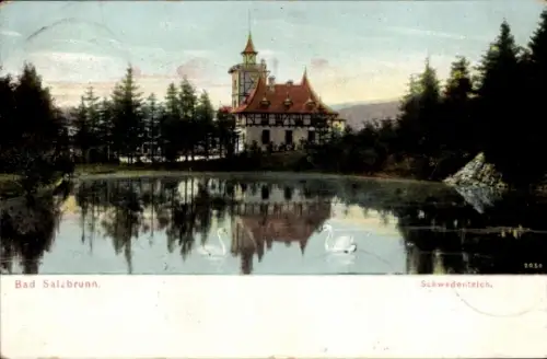 Ak Szczawno Zdrój Bad Salzbrunn Schlesien, Schwedenteich, Gebäude