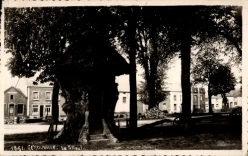 CPA Gérouville Meix devant Virton Wallonie Luxembourg, Le Tilleul