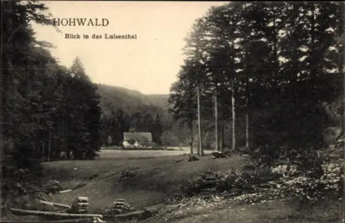 Ak Hohwald Elsass,  Blick in das Luisenthal