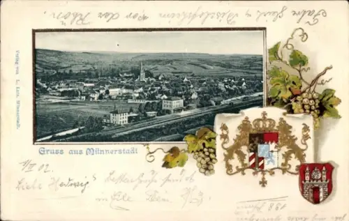 Präge Wappen Passepartout Ak Münnerstadt, Gesamtansicht