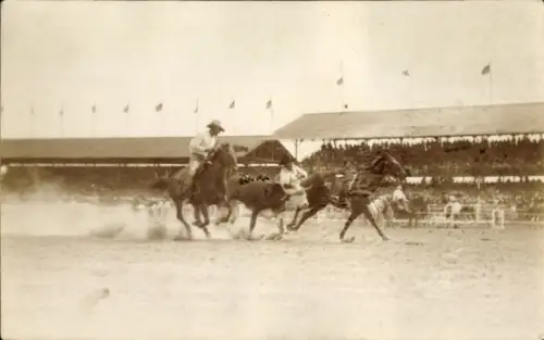 Foto Ak USA, Zwei Cowboys auf Pferden, Kuh, Zuschauertribüne