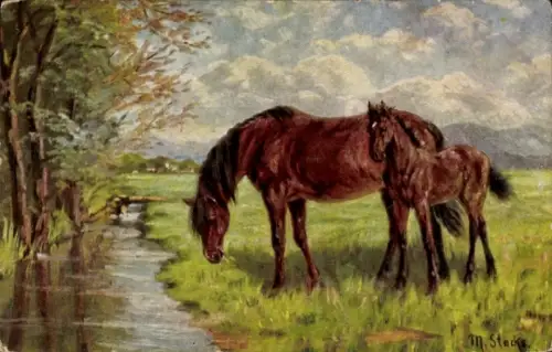 Künstler Ak Stocks, M., Pferde