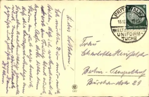 Ak Terrier, Hund, Tierportrait