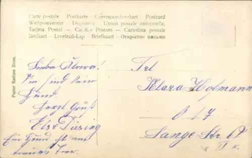 Ak Windhund, Hundeportrait