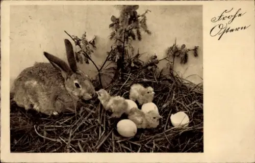 Ak Frohe Ostern, Hase, Nest mit Eiern und Küken