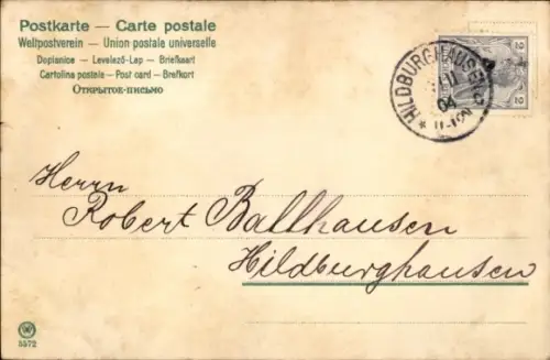 Ak Feldhase in einer Waldlichtung