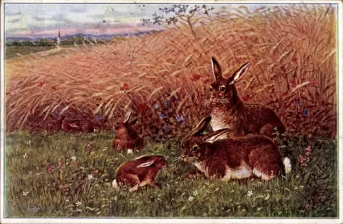 Künstler Ak Tierfamilien, Hasen am Feldrand