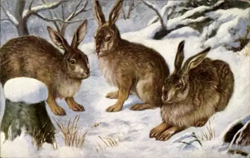 Künstler Ak Drei Hasen im Schnee, Tierportrait