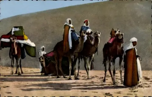 CPA Scenes et Types, La caravane dans le désert