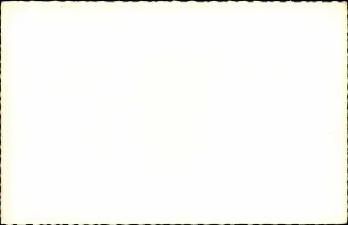 Ak SO-4050 Vautour, Mehrzweckkampfflugzeug