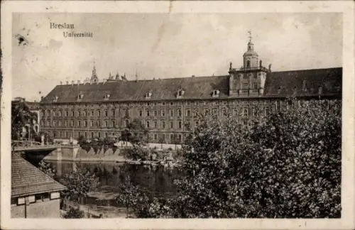 Ak Wrocław Breslau Schlesien, Universität