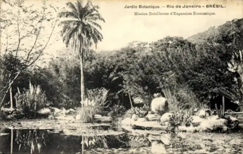 Ak Rio de Janeiro Brasilien, Botanischer Garten, Palmen, Wasserfläche, Pflanzen, Brasilien