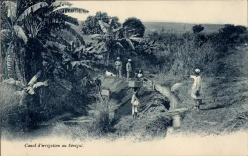 CPA Sénégal, Canal d'irrigation