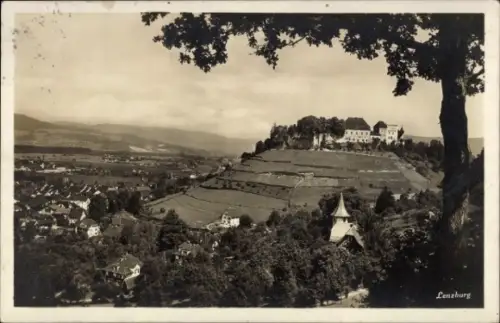 Ak Lenzburg Kanton Aargau, Landschaft mit Burg, Weinbergen, Häusern, Lenzburg