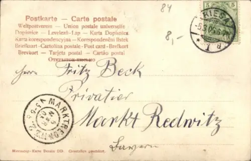 Ak Riesa an der Elbe Sachsen,   Klosterkirche, Turnhalle, Partie im Stadtpark