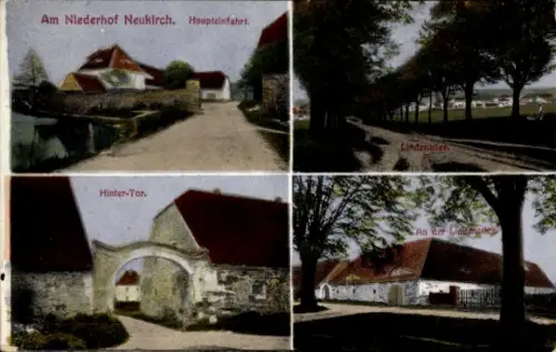 Ak Neukirch in der Lausitz, Am Niederhof,  Haupteinfahrt, Hinter-Tor, Lindenallee