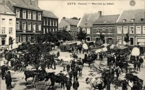 Ak Hannut Wallonien Lüttich, Viehmarkt