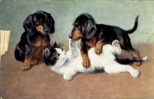 Ak Zwei Dackel mit einer Katze