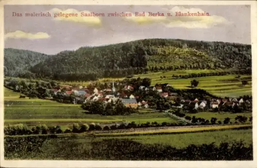 Ak Saalborn Blankenhain in Thüringen, Gesamtansicht